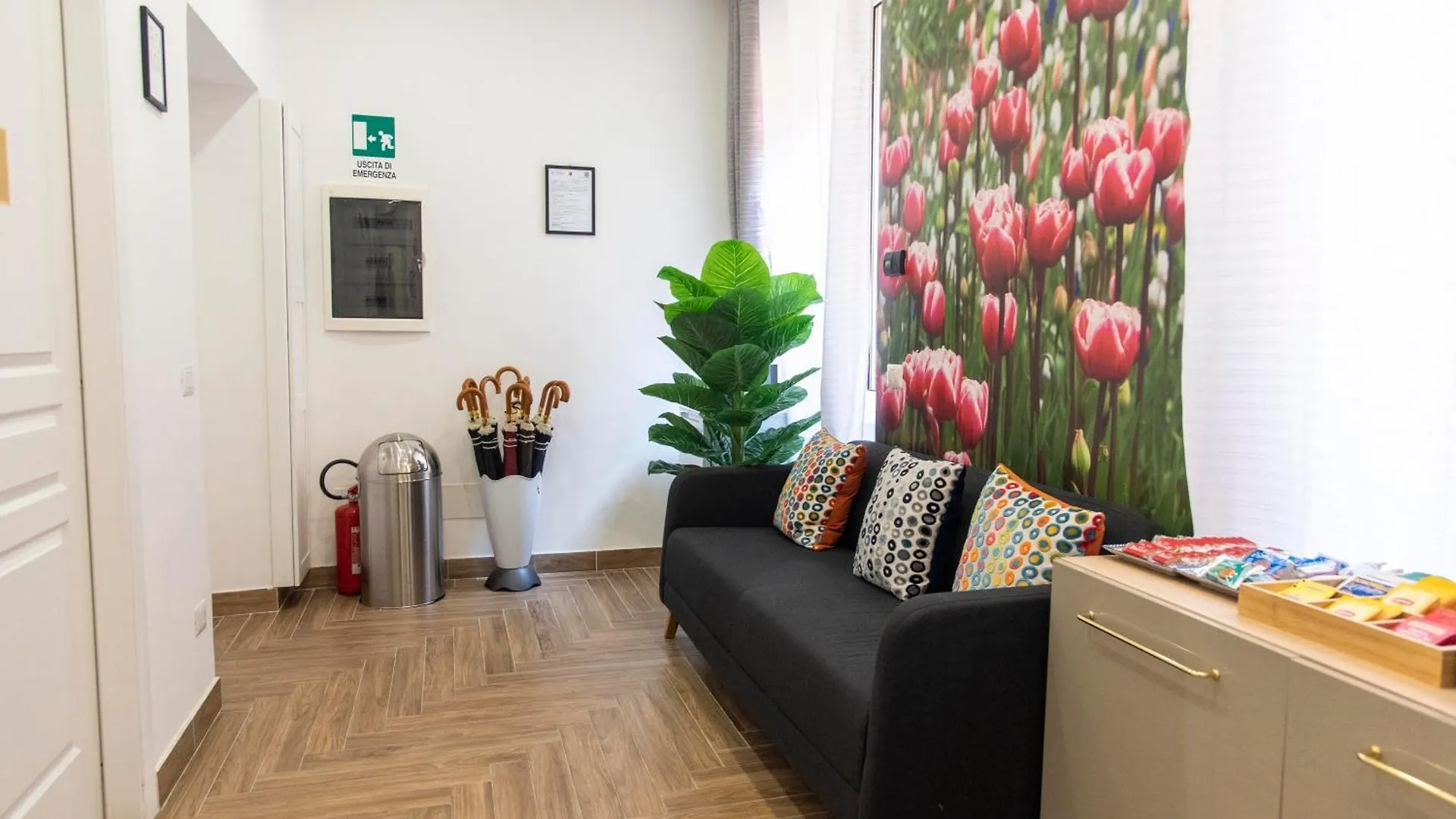 Susy'S Guest House - Room Colosseo Rome Italie